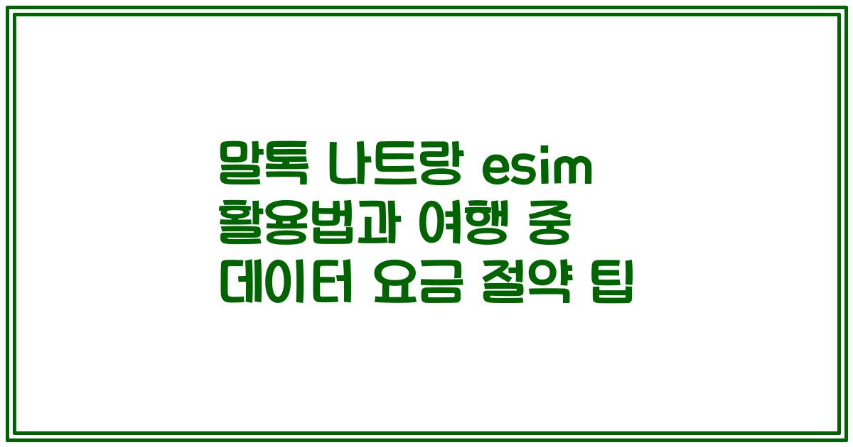 말톡 나트랑 esim 활용법과 여행 중 데이터 요금 절약 팁