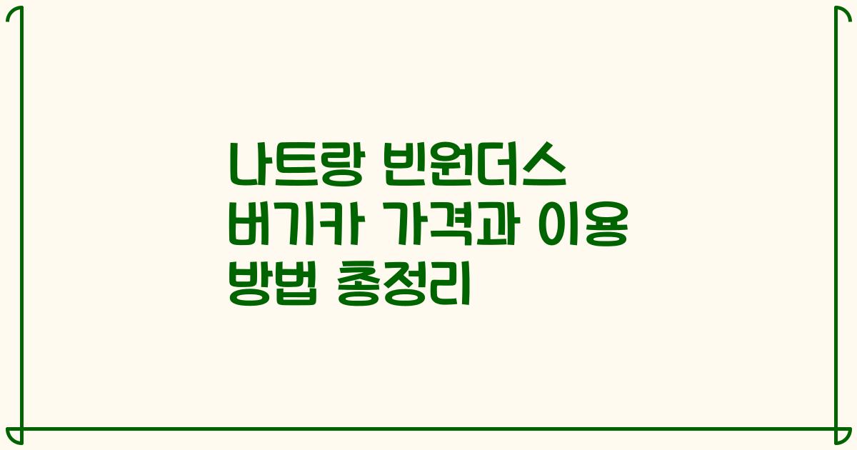 나트랑 빈원더스 버기카 가격과 이용 방법 총정리